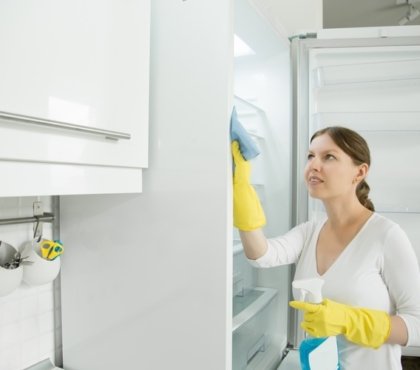 How-to-clean-a-new-fridge-before-using-and-prepare-it-for-exploitation