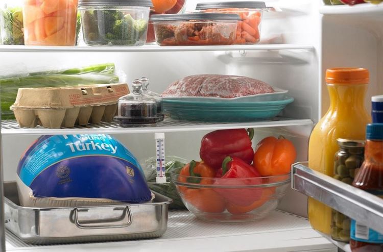 When to turn on a new refrigerator after the first cleaning