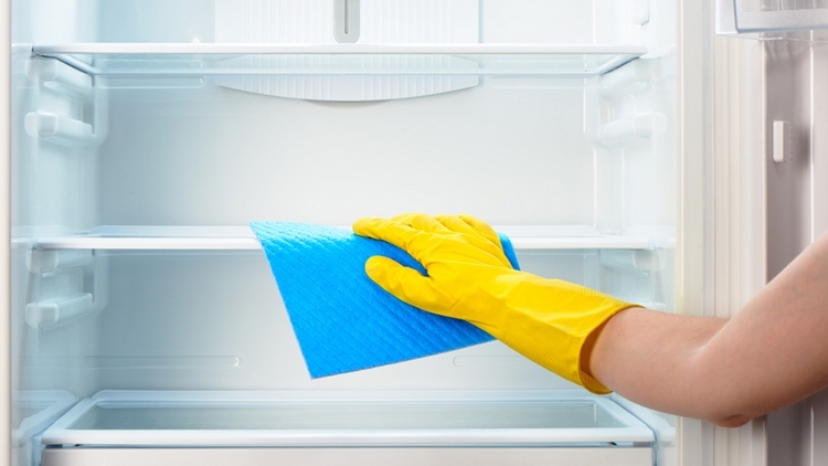 how and why to clean new fridge before exploitation