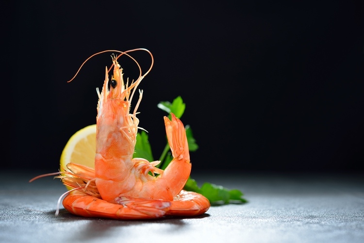 how to cook shrimps and prawns