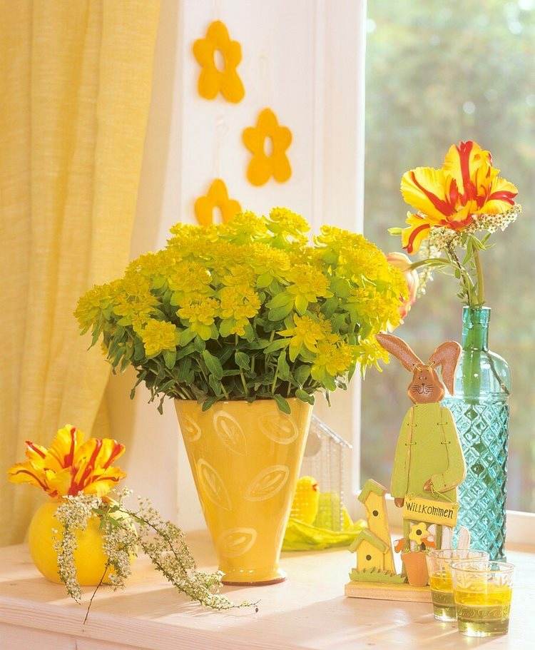 spring flowers and Easter decorations on window sill