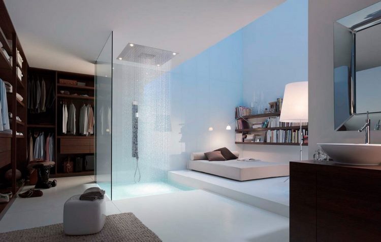 Bedroom with open bathroom shower glass partition