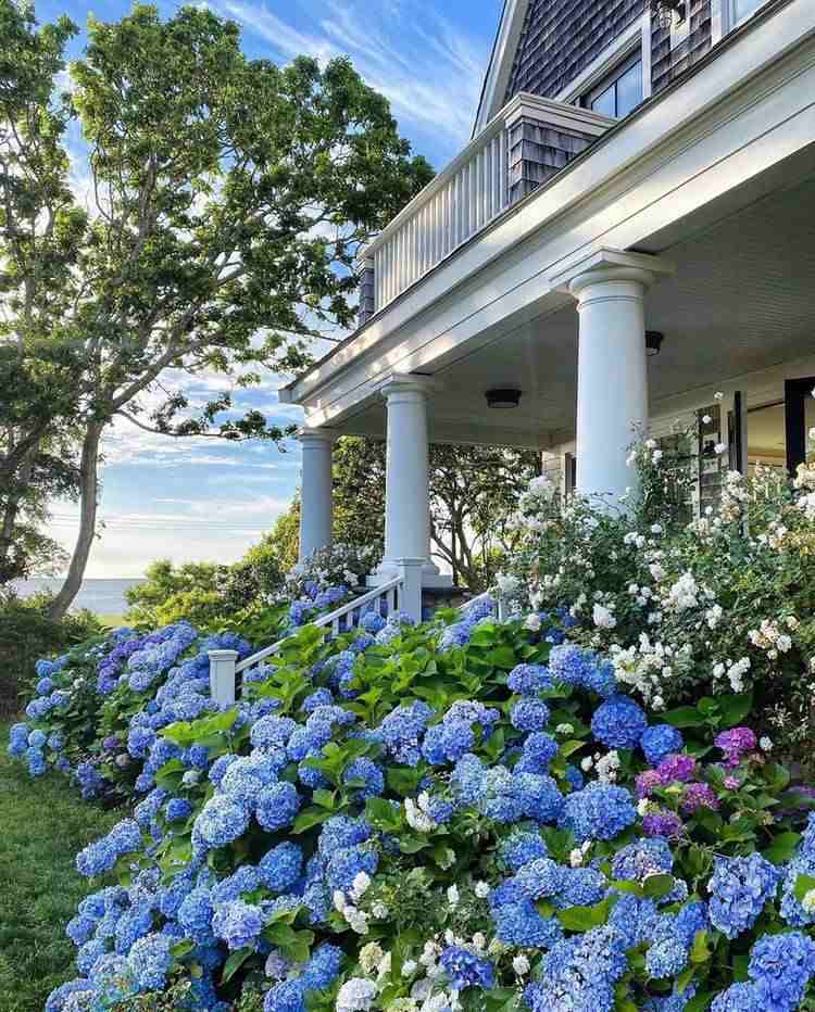 Flowers for Cape Cod style gardens