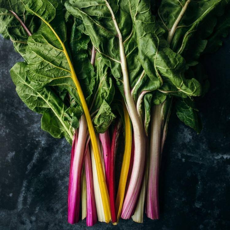 How to choose and store rhubarb
