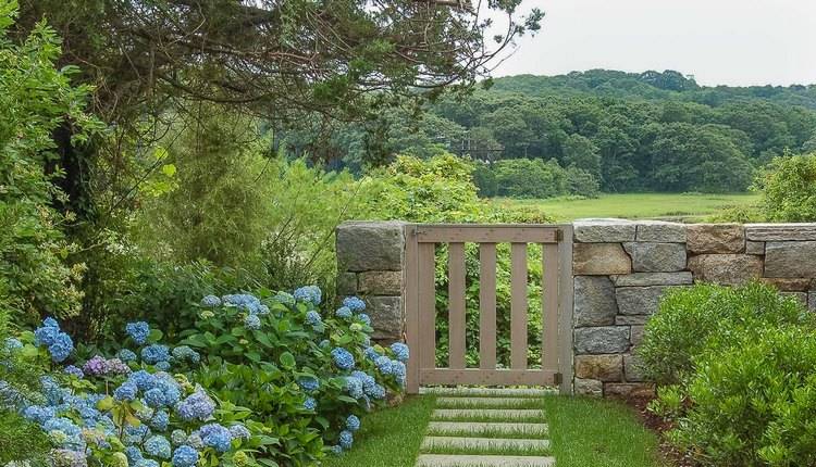 Landscape design Cape Cod garden plants ideas