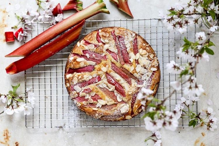 Rhubarb cake recipe 5 summer dessert ideas