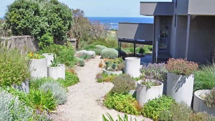 low maintenance garden ideas coastal plants