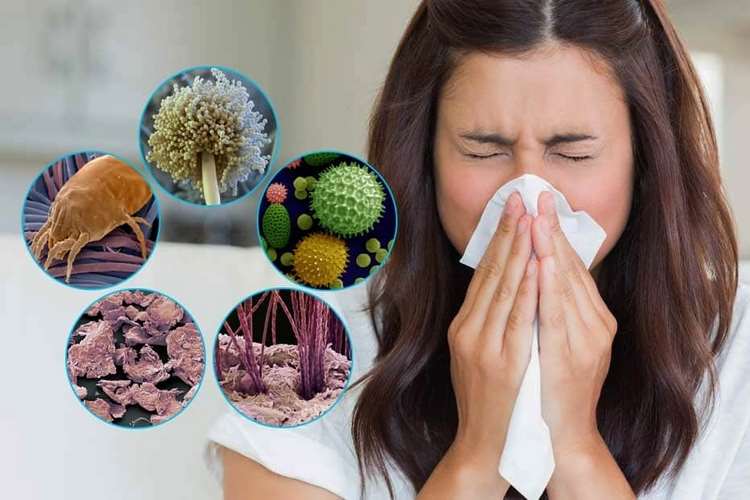 How to Reduce Allergens in Your Home Practical Tips