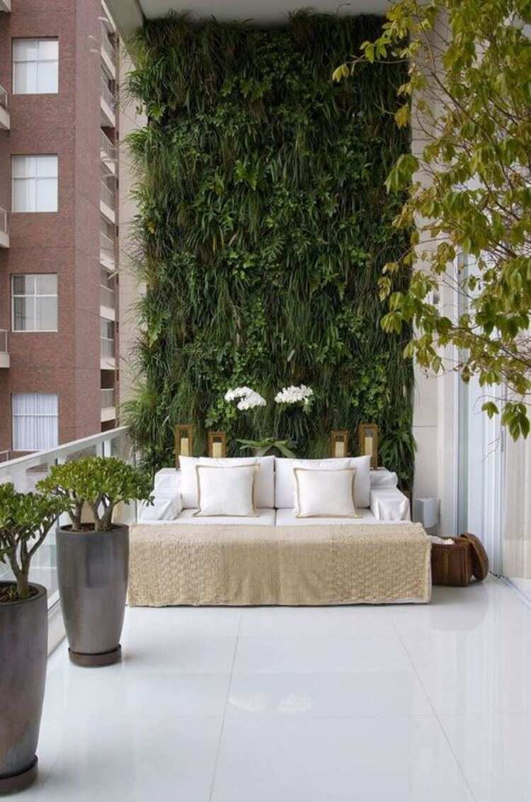 How to choose the best plants for balcony green walls