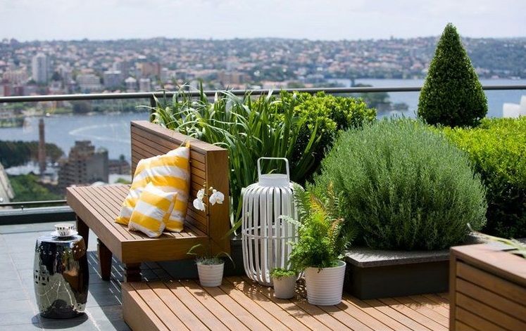 Urban Garden Ideas and Design Tips