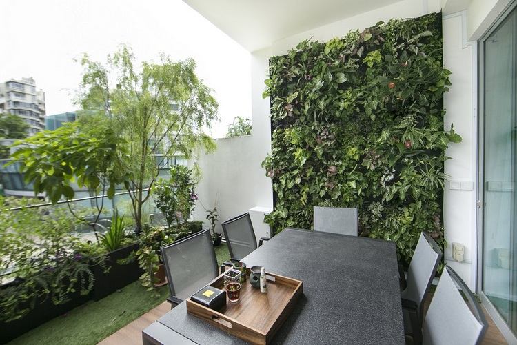 Vertical gardens and living walls can transform your balcony