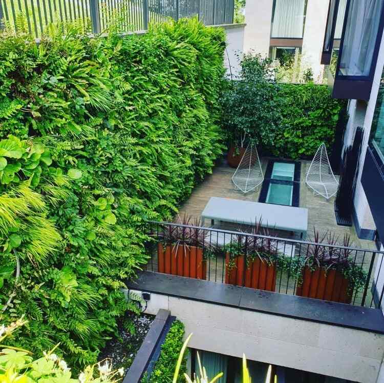 green wall balcony vertical garden advantages