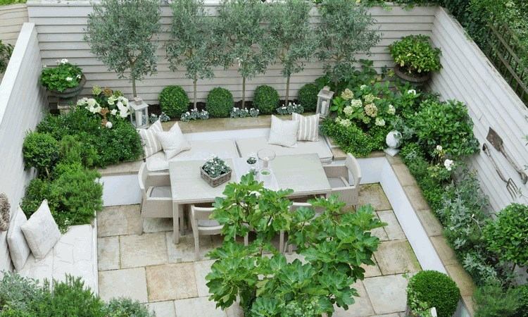 urban garden ideas for small backyard