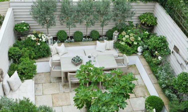 Urban Garden Ideas – Transform Your Outdoor Area into a Green Oasis