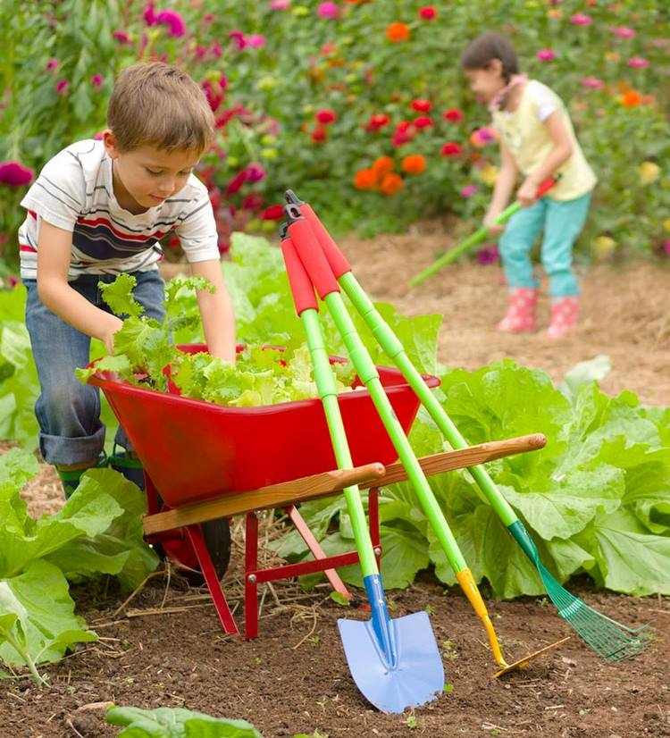 Garden project for children