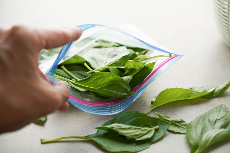 How to Freeze Basil Leaves