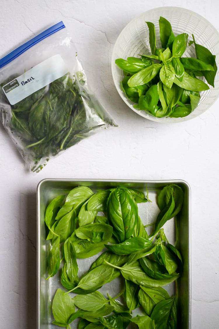 How to Freeze Blanched Basil
