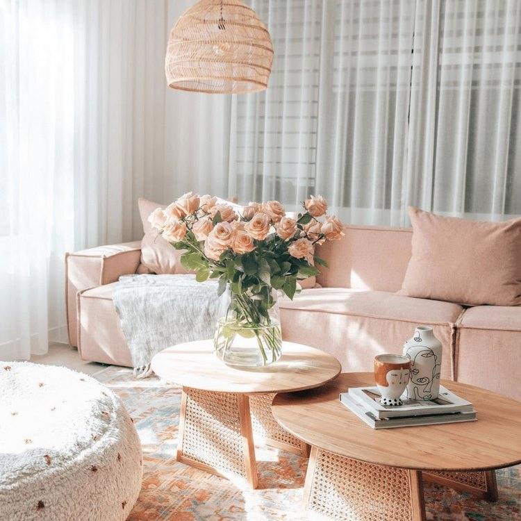 Chic and Modern Blush Pink Living Room