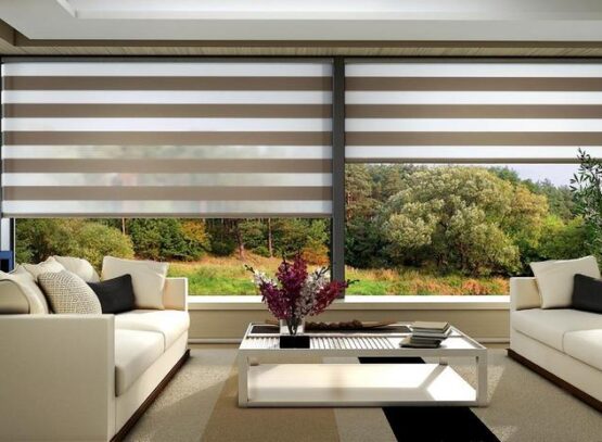 Zebra-Blinds-Innovative-Window-Treatment-for-Every-Room