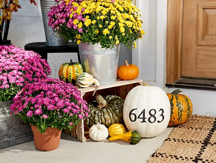 house number pumpkin flowers wooden crate front porch fall decor ideas