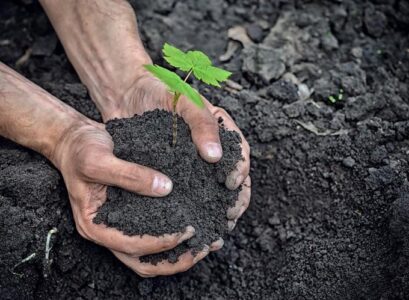 5-Ways-to-Winterize-Your-Garden-and-Protect-the-Plants-During-the-Cold-Season