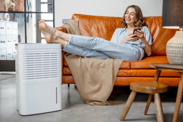Home Improvement Ideas Buy a High-Quality Air Purifier