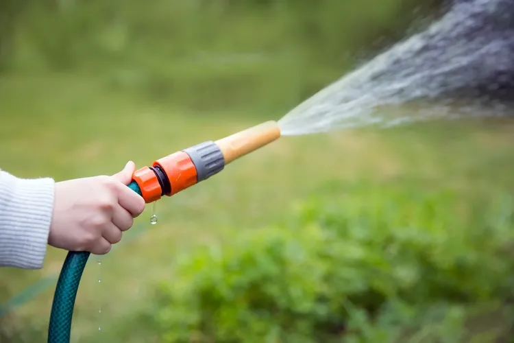 Water your garden at least once a month during winter