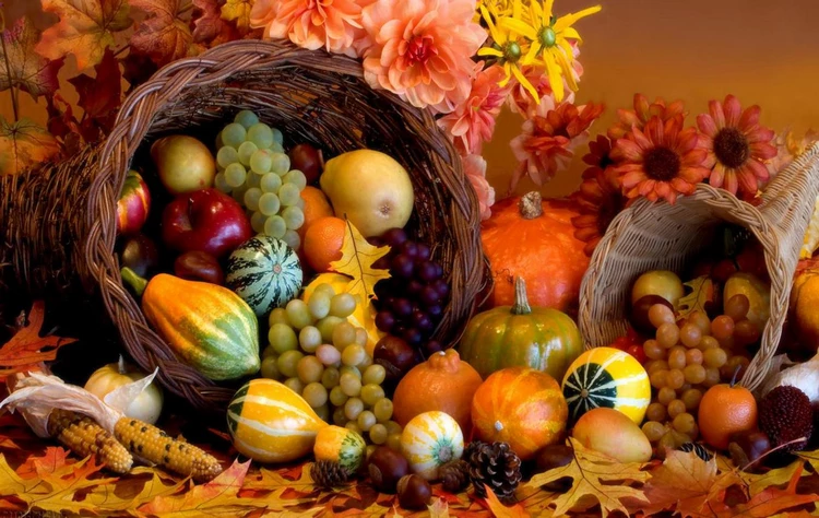 thanksgiving 2021 decor ideas cornucopia