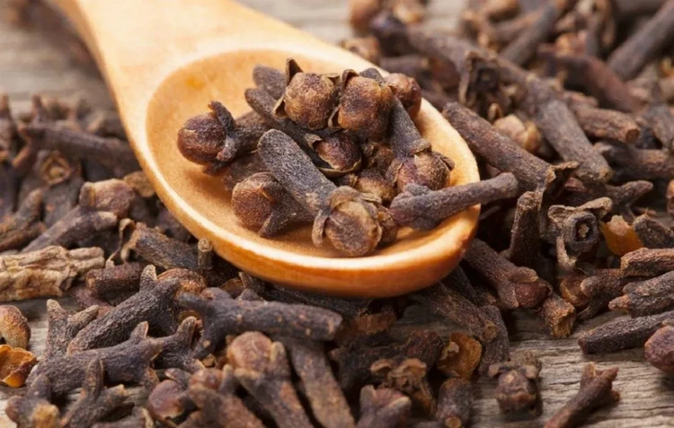 Cloves are effective method to get rid of rats