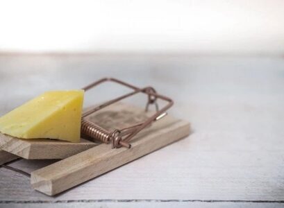 How-to-Get-Rid-of-Rats-in-the-House-Quick-and-Easy-Natural-Deterrent-Methods