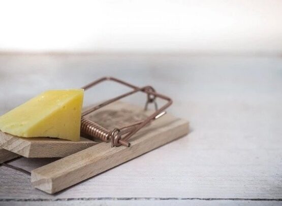 How-to-Get-Rid-of-Rats-in-the-House-Quick-and-Easy-Natural-Deterrent-Methods