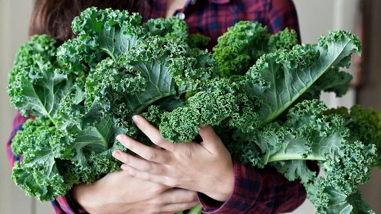 healthy foods that boost energy leafy greens