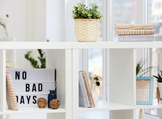 Creative-Ideas-and-Tips-on-How-to-Arrange-Bookshelves-in-Style