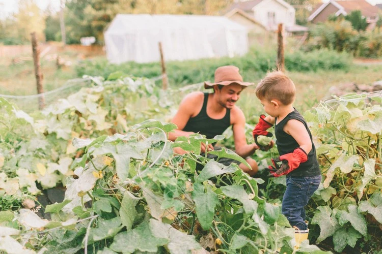 Garden trend 2022 grow your own food