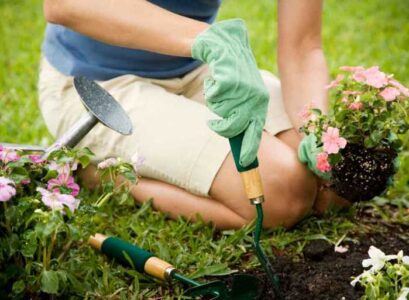 How-to-Use-Baking-Soda-in-the-Garden-10-Ideas-for-Your-Outdoor-Space