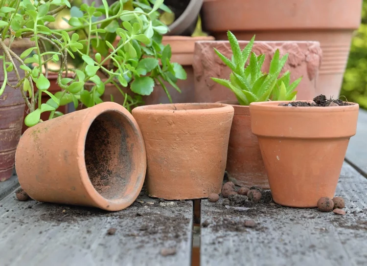 Remove Lime Deposits from Terracotta Pots in a Natural Way