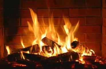 What-to-do-with-the-wood-ashes-from-the-fireplace