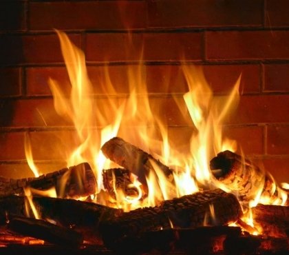 What-to-do-with-the-wood-ashes-from-the-fireplace