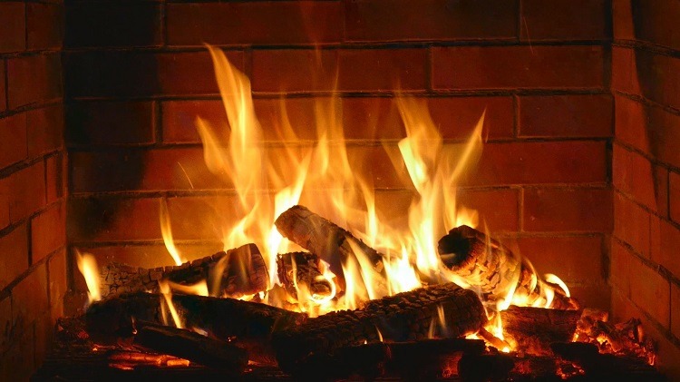 What-to-do-with-the-wood-ashes-from-the-fireplace
