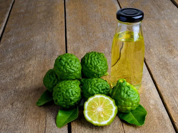 Bergamot Oil relieves anxiety tension and depression