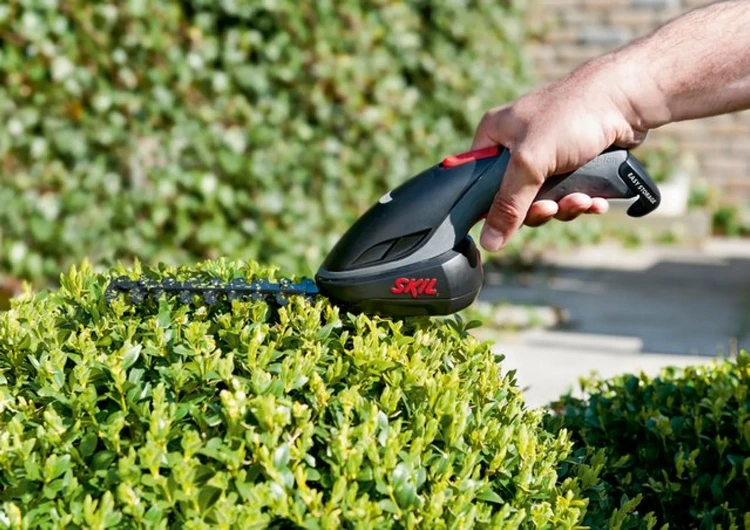 How to Prune and Trim Garden Hedges