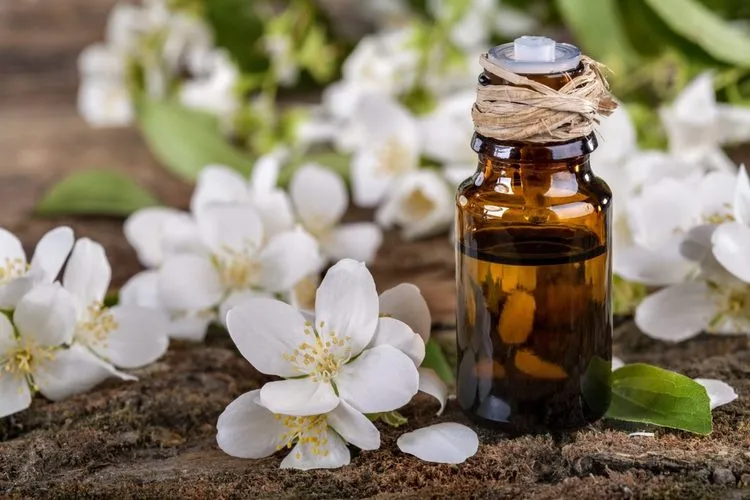 Jasmine Essential Oil relieves tension and irritation