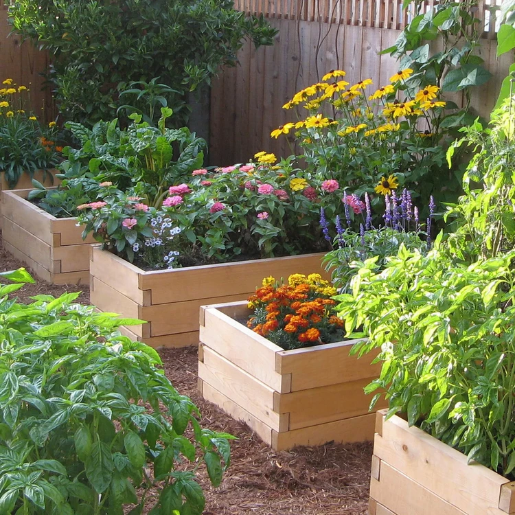 Raised Flower Beds Ideas A Universal Solution for Small Gardens
