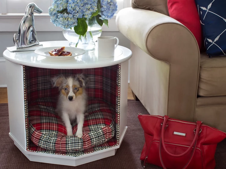 Stylish and Multi-Functional End Table cozy dog bed