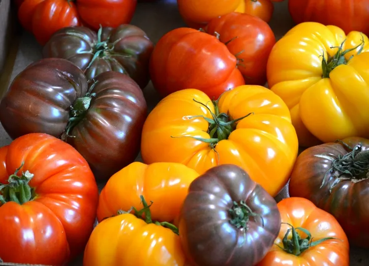 Best Heirloom Tomato Varieties