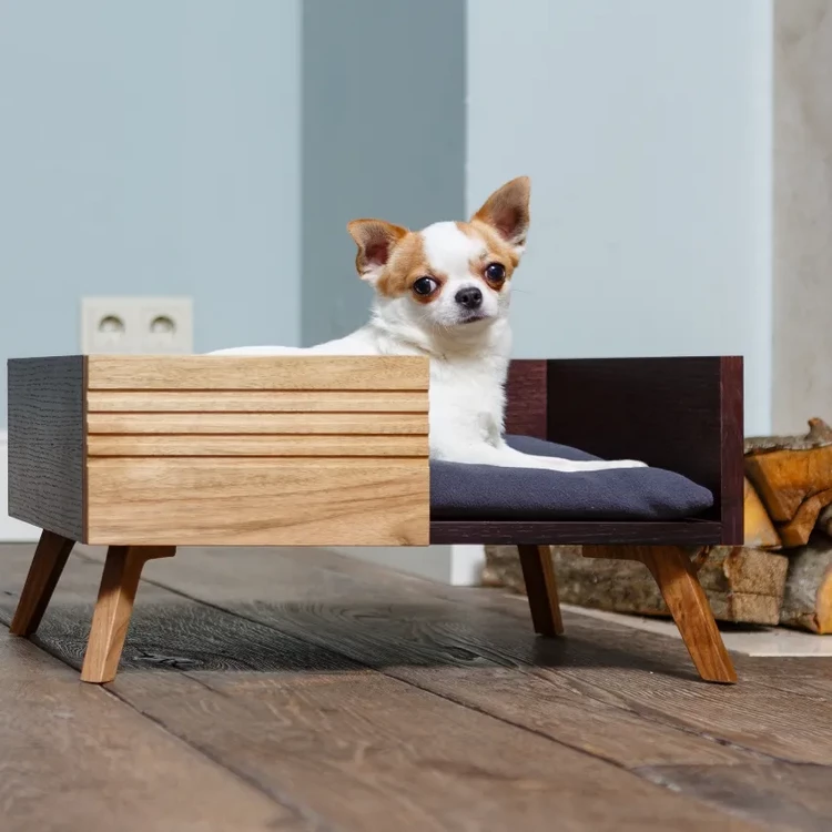 What Do You Need To Know About DIY Old Furniture Dog Beds