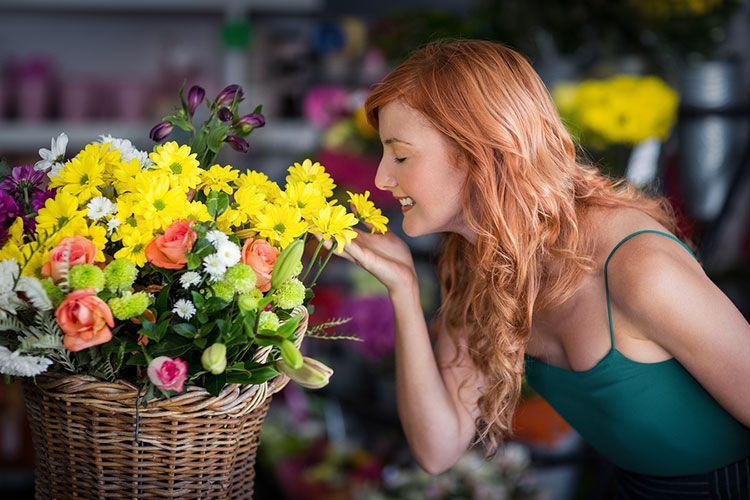 What flowers to give on Women's Day 8 Ideas to Make Your Beloved Happy