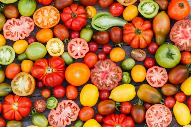 What Is Heirloom Tomato and How to Grow Them