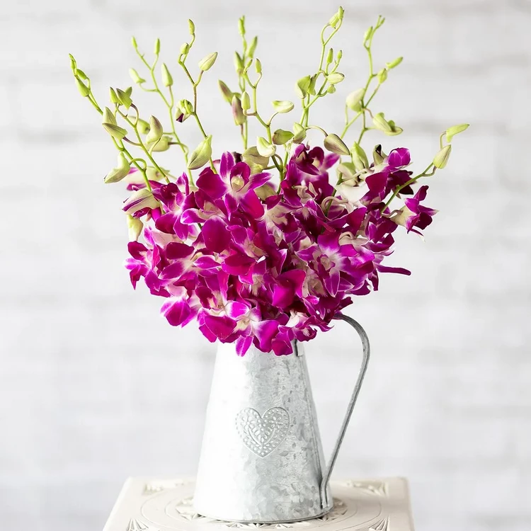 What flowers to give on Women's Day orchids
