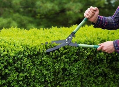 When-and-How-to-Prune-Garden-Hedges-to-Maintain-Their-Beautiful-Appearance